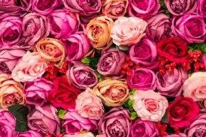 overhead view of bunches of roses in various shades of pink